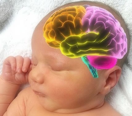 Infant developmental care session